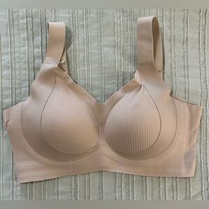 Forlest Jelly Bra